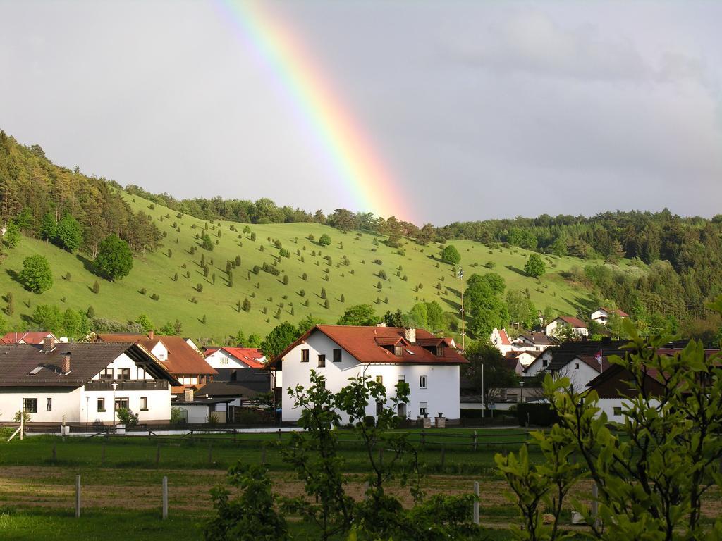 Hotel Zum Braeu Kinding Dış mekan fotoğraf